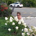 ���� ������, ������, 63 ���� - ��������� 20 ������ 2025 � ������ ���� ����������