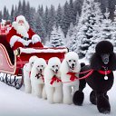 ���� Cola, �����-���������, 44 ���� - ��������� 2 ������ 2024 � ������ ������ ��������