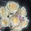 ���� �����, ����������� - ��������� 10 �������� 2025 � ������ ������ ��������