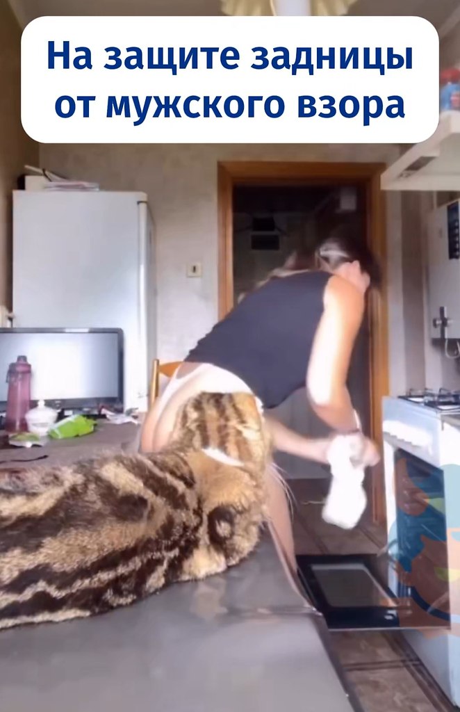�����, ����� ��-�������