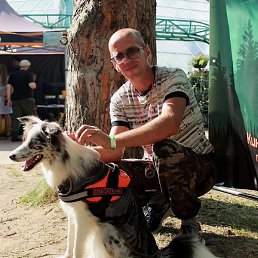 ��������, �����, 43 ����