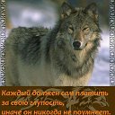 ���� ������, ������, 39 ��� - ��������� 6 ������� 2026 � ������ ���� ����������