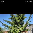 ���� �����, ������, 45 ��� - ��������� 8 ������ 2025 � ������ ���� ����������