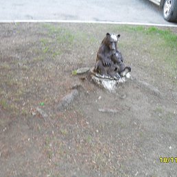 �������, ���������, 59 ���