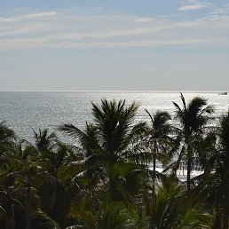 �����, ���������, 51 ���