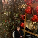 ���� ������, ����� - ��������� 14 ����� 2026 � ������ ���� ����������