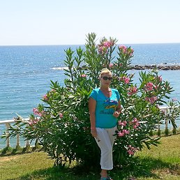 ���� �������, �������� - ��������� 8 ������ 2026