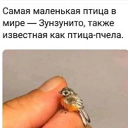 �������, 47 ���, ������