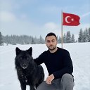 ���� Ali, ������, 28 ��� - ��������� 14 ������� 2026 � ������ ���� ����������