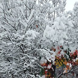 �������, �����-���������, 42 ����