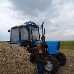 �����, 37 ���, �������