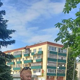 ������, ������, 41 ���