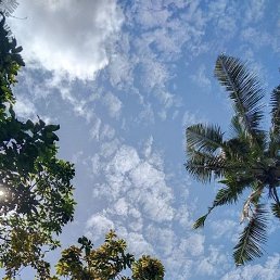 ���� Andrew, ���-�����, 64 ���� - ��������� 24 ������� 2025