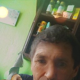 ��������, 55 ���, ���������