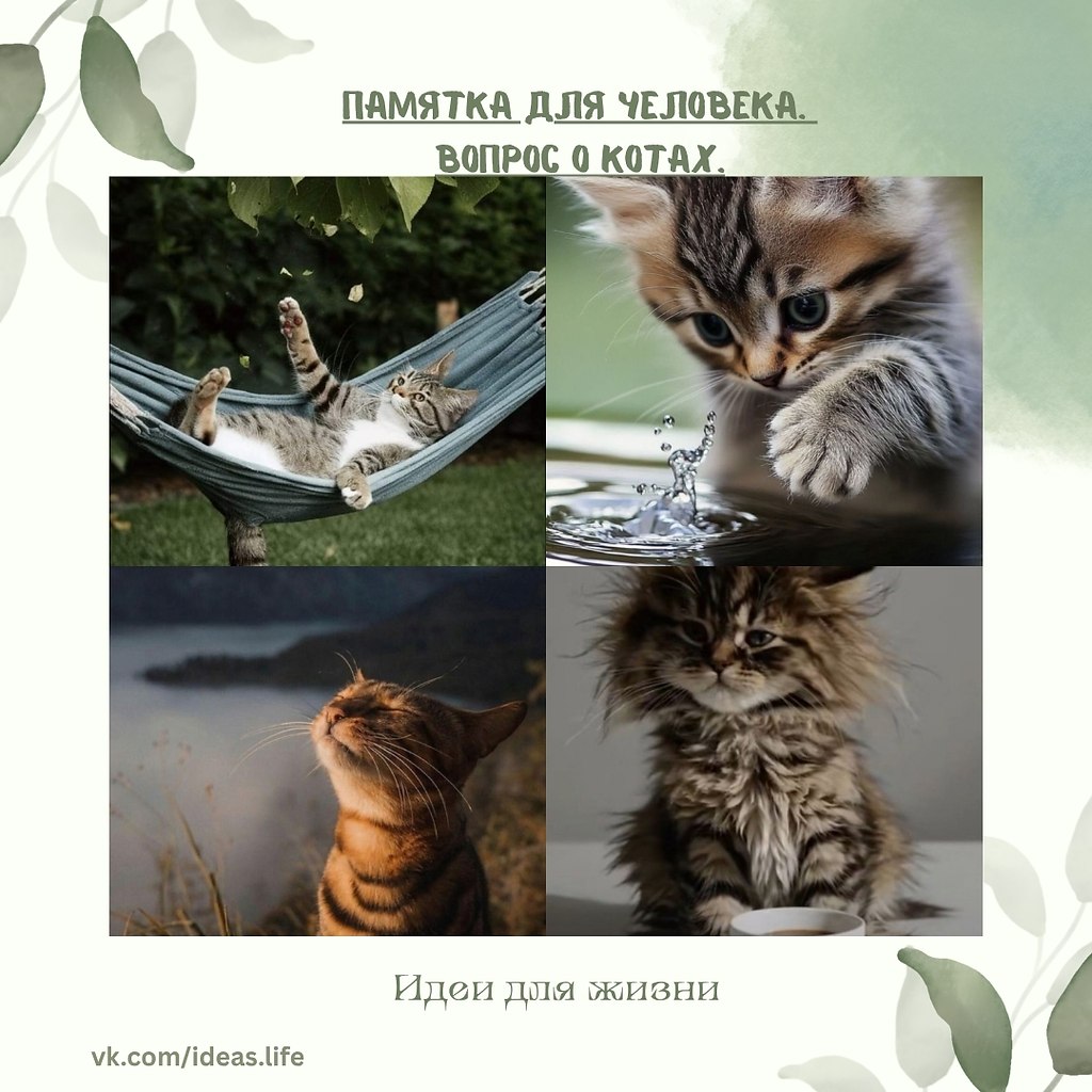 – У кота есть права. Их, между прочим, больше, чем у тебя. – У кота нет обязанностей. Он же кот. – ...