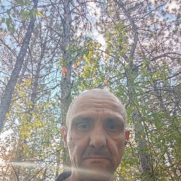 , 41 , 