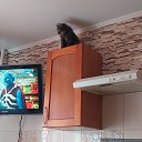 ���� ����, ��������� - ��������� 3 ���� 2026 � ������ ������ ��������