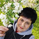 ���� �������, �����������, 54 ���� - ��������� 21 ��� 2025 � ������ ���� ����������