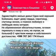����� ������, 51 ���, ������