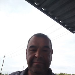 , 55 , 