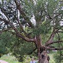 ���� �����, �����-��������� - ��������� 18 ������� 2025 � ������ ���� ����������