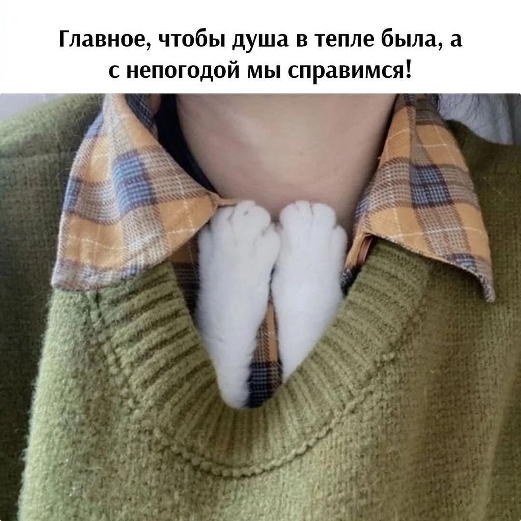   - 13  2025  13:54