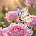 ���� ����, ������� - ��������� 30 ���� 2026 � ������ ������ ��������