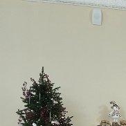 ������, 37 ���, ������-��-����