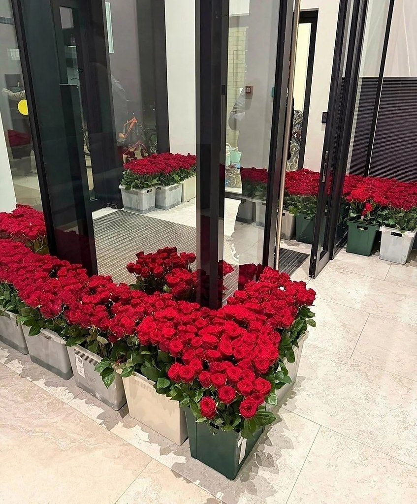 ������� ��� �������� �� 70 ��� ������ �������� � ���������� �� � �������� � ������� ��������� ... - 2