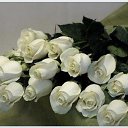  Galina, , 68  -  22  2025    