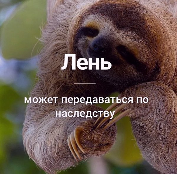  - 28  2025  12:49