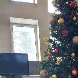 ����, �������, 59 ���