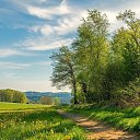 ���� �����, ����, 40 ��� - ��������� 3 ����� 2024 � ������ ������ 2024 (3.03.2024. 21:46)�
