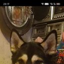 ���� ����, ������-��-����, 58 ��� - ��������� 1 ������ 2026 � ������ ���� ����������