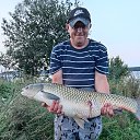 ���� ������, ��������, 38 ��� - ��������� 3 ������� 2023 � ������ ���� ����������