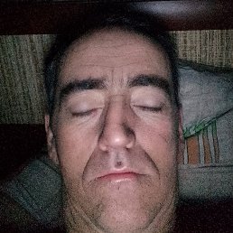 ���� �����, ������, 40 ���