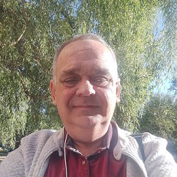 , 53 , 