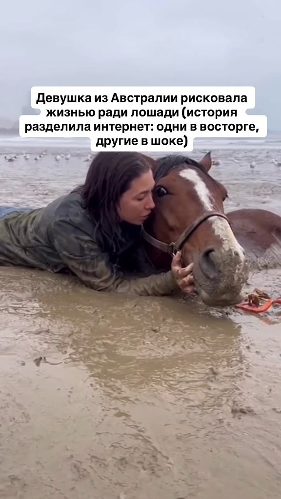������� ��� ���� ������� ������ ������ ����� ��� ������������ � ������� �� ��������� ���������. ...