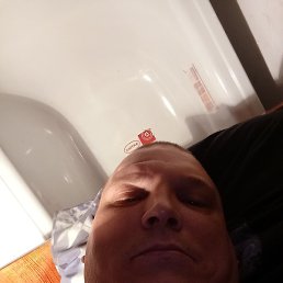 �������, ����-���������, 40 ���