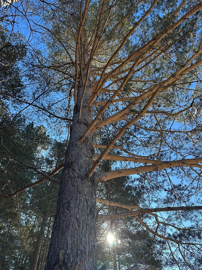 �ec������a a�ac��. ������� �o����, �paco�a �ec�o�o �apc��a. �ap�ca e���e�a - 5