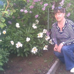 , 60, 