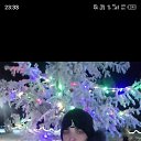 ���� ������ ����������, ������, 23 ���� - ��������� 20 ������ 2025 � ������ ���� ����������