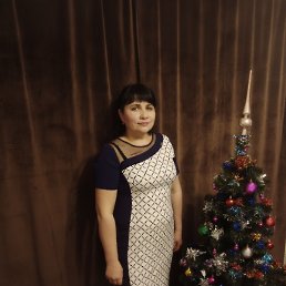 ���� ����, ������, 41 ��� - ��������� 31 ������ 2024