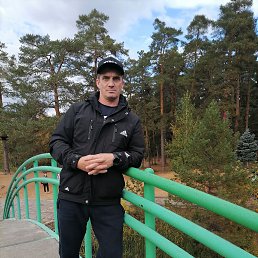 �����, 43 ����, ���������