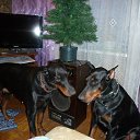 ���� ��������, �����������-��-����� - ��������� 30 ������� 2025 � ������ ���� ����������