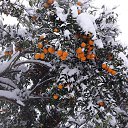 ���� ����, ������, 44 ���� - ��������� 3 ������� 2024