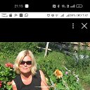 ���� ��������, �����-���������, 55 ��� - ��������� 31 ��� 2026