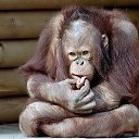 ���� ����, ���������, 64 ���� - ��������� 7 ���� 2025 � ������ ���� ����������