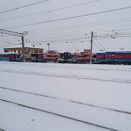 �������, ������, 37 ���