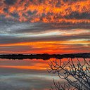 ���� �������, �������, 50 ��� - ��������� 7 ��� 2024 � ������ ���� ����������